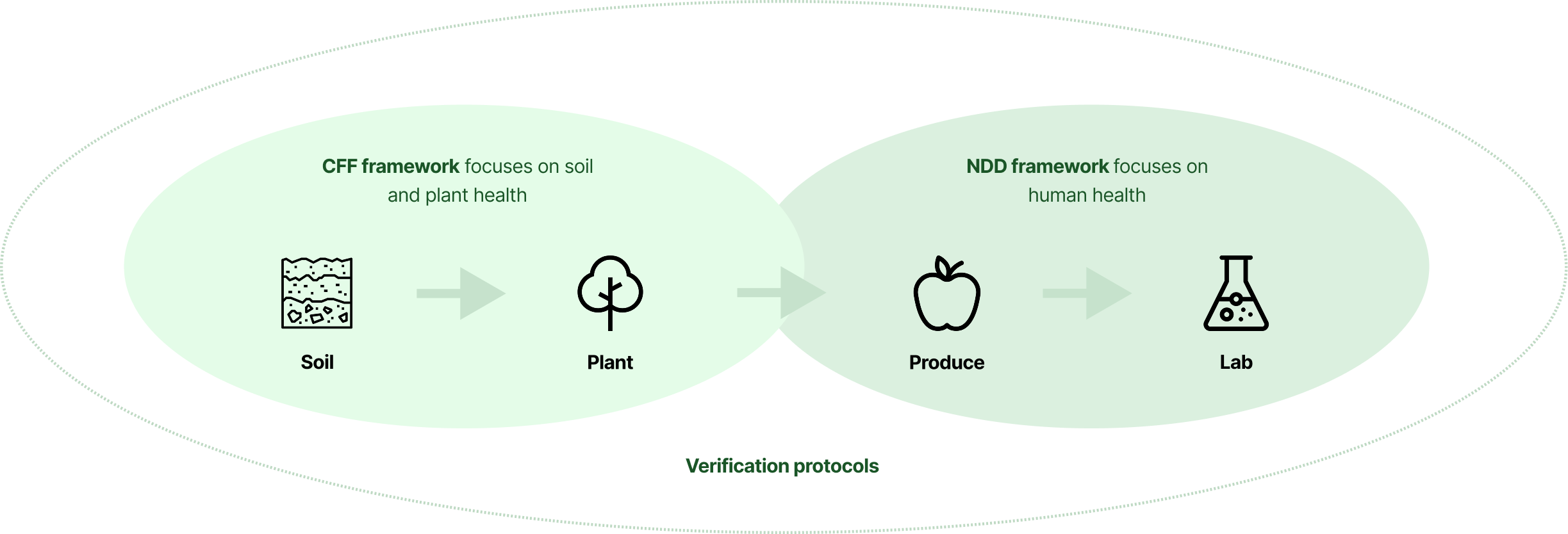 Diagram illustrating the CFF and NDD frameworks and verification protocol
